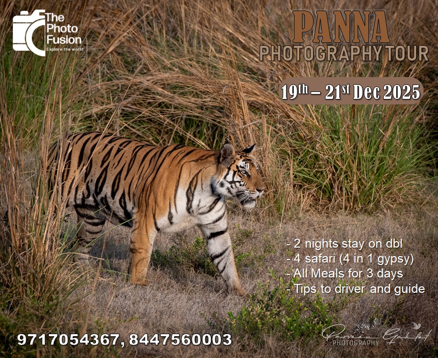 Panna Photography Tour