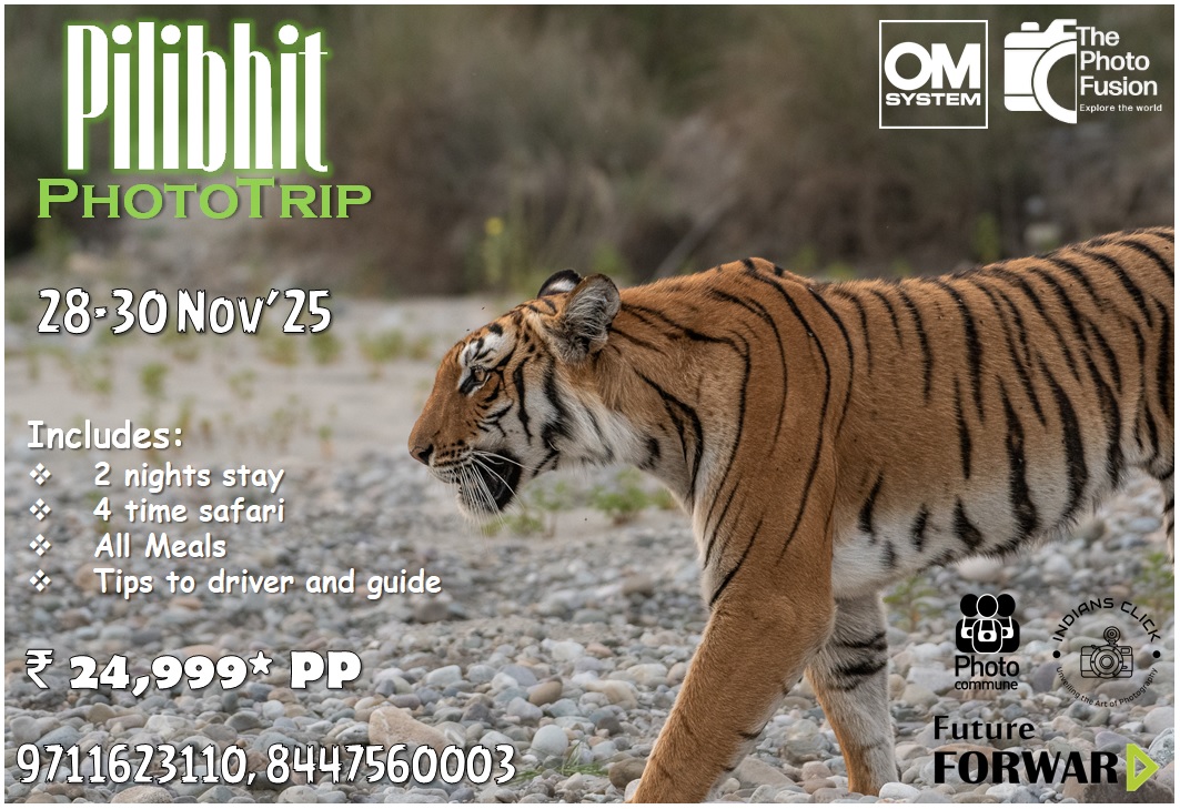 Pilibhit Phototour