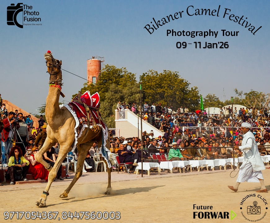 Bikaner Camel Festival PhotoTour