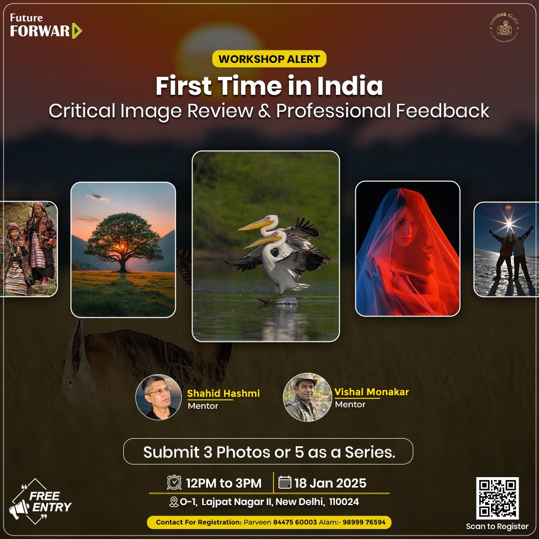 Critique Image Review Workshop